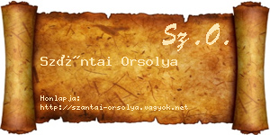 Szántai Orsolya névjegykártya