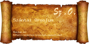 Szántai Orsolya névjegykártya